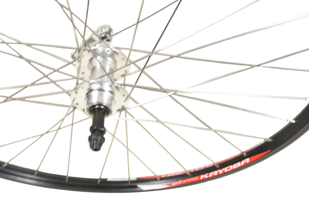 26" 559 x 19 REAR MTB Q/R DISC WHEEL DUAL WALL RIM 6,7,8 MULTI SPEED FREEWHEEL
