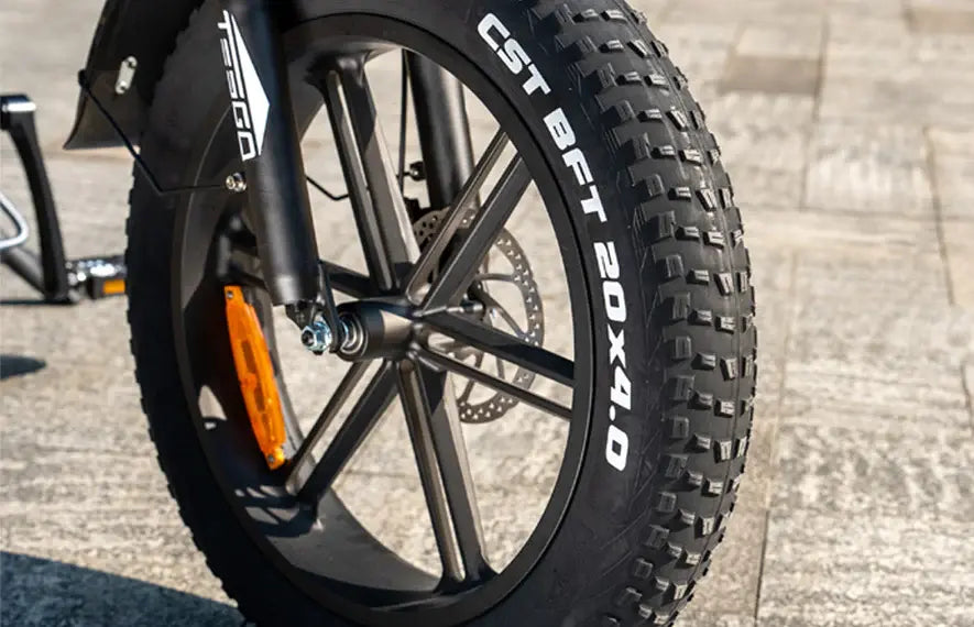 Cst fat bike tires online