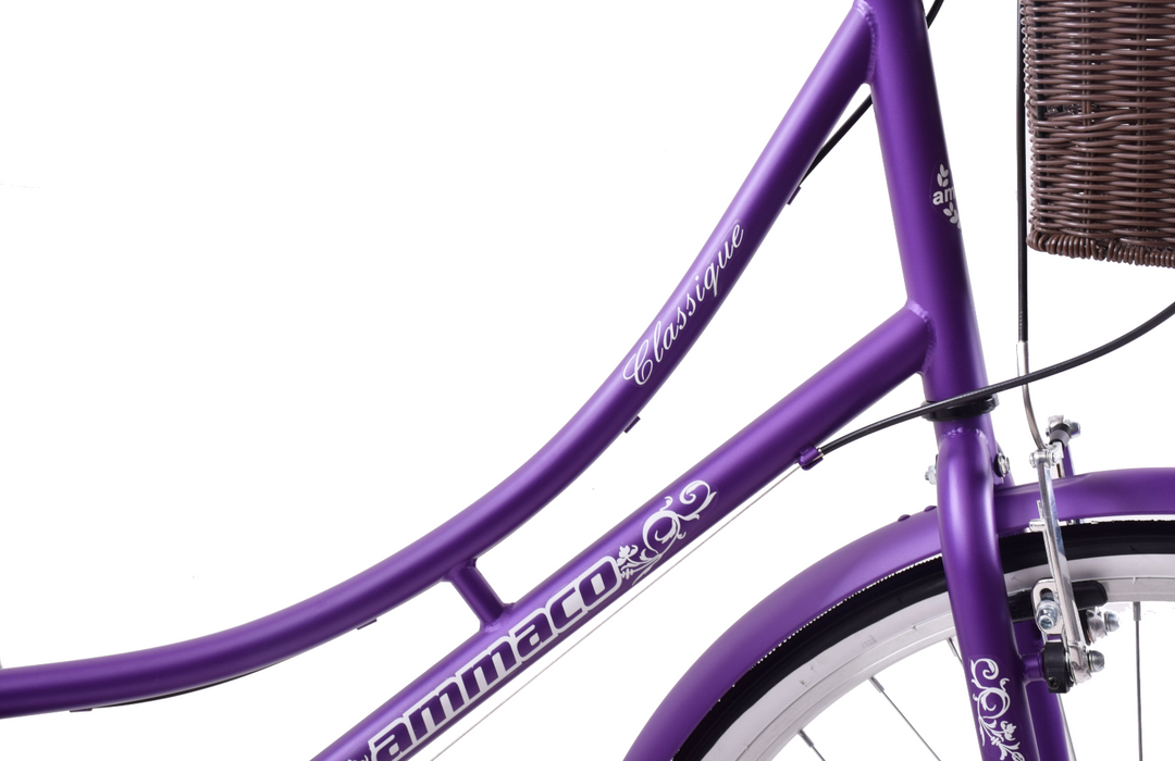 Womens bike discount 19 frame