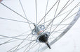 26 x 1.75 559 rim REAR WHEEL SHIMANO NEXUS SG-3R40 3 SPD ROLLER BRAKE - Bankrupt Bike Parts